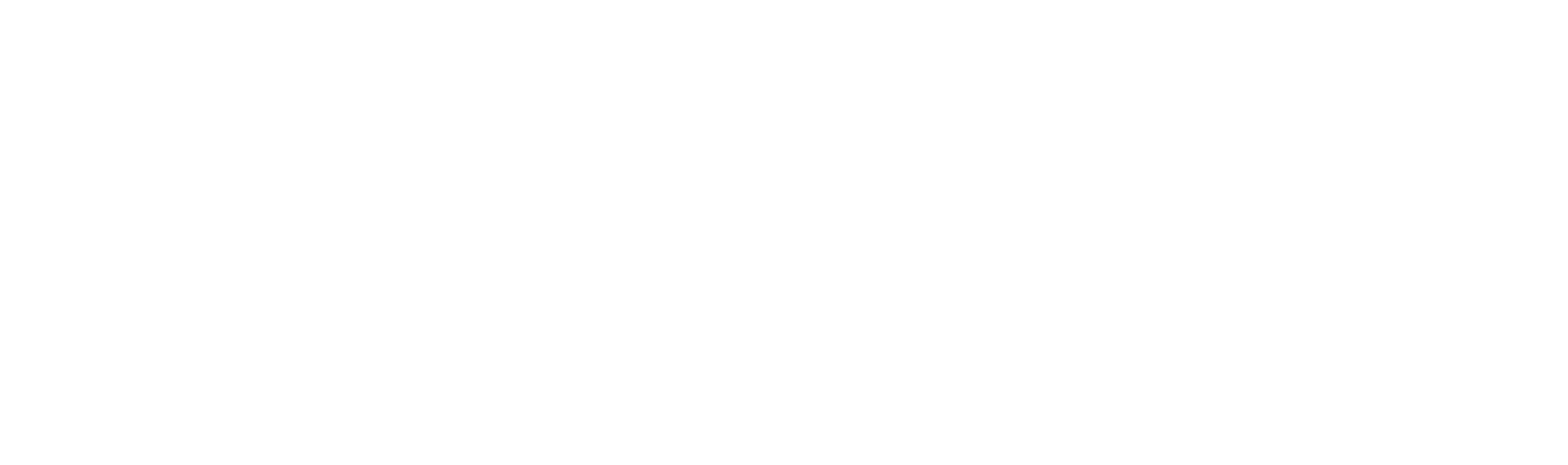 CarShipOS